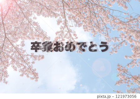 桜の背景に卒業おめでとう文字 桜の背景に卒業おめでとう文字 121973056