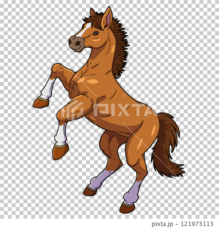 馬のイラストリクエスト 漫画風の立ち上がる馬（サラブレッド）のイラストのイラスト素材