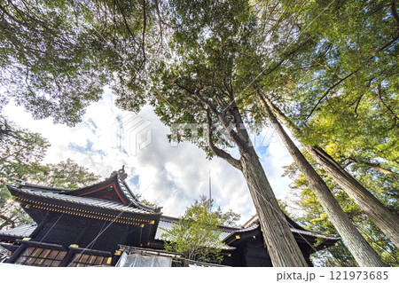 玉前神社 121973685