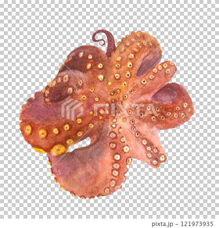 Fried octopus watercolor illustration isolated on white. High quality hand-drawn sea clip art perfect for cook books, blog posts, recipe ingredient, for posters, cards, kitchen decor and design Fried octopus watercolor illustration isolated on white. High quality hand-drawn sea clip art perfect for cook books, blog posts, recipe ingredient, for posters, cards, kitchen decor and design 121973935