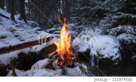 Campfire in the winter forest with stream, close-up 121974582