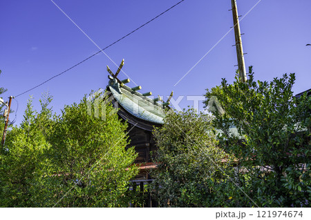 一宮　大神神社　本殿　愛知県一宮市 121974674