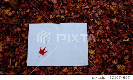 おちばと日記のイメージ素材 おちばと日記のイメージ素材 121974697