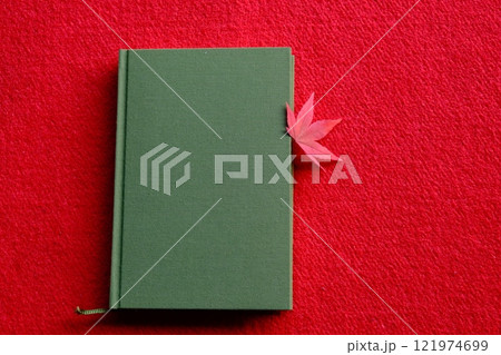 色付き葉と読書のイメージ素材 121974699