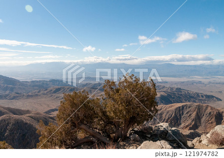 Joshua Tree National Park 121974782