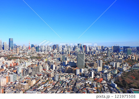 東京都港区、東京の町並みと東京タワーの風景 東京都港区、東京の町並みと東京タワーの風景 121975508