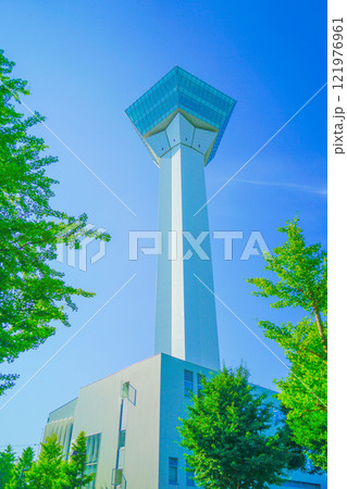 五稜郭タワーと青空 121976961