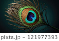 Close-up view of a peacock feather showcasing vibrant colors and intricate patterns in natural lighting 121977393