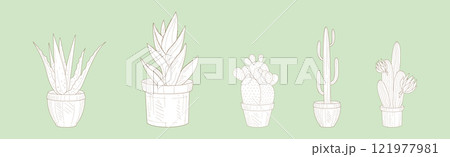 Cactus Succulent Plant Grow in Pot Line Vector Set 121977981