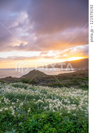 Sunset on Ponta de Sao Lourenco peninsula with beautiful flowers in foreground. Madeira Island Portugal. Sunset on Ponta de Sao Lourenco peninsula with beautiful flowers in foreground. Madeira Island Portugal. 121978192