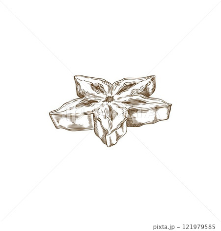 Vector element with a piece of sweet and sour carambola fruit on a white background 121979585
