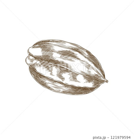 Vector illustration of a carom made in style of a black and white hand-drawn drawing 121979594