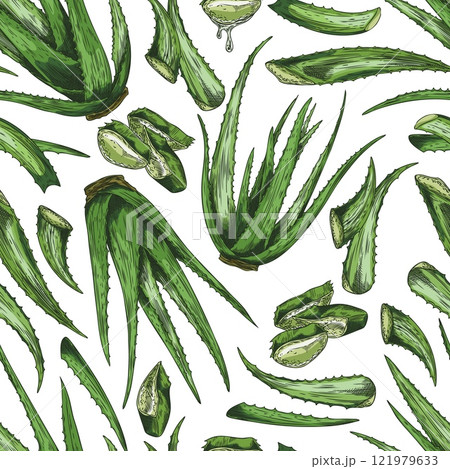Seamless vector pattern of aloe vera with green leaves, cut and whole plants hand-drawn 121979633