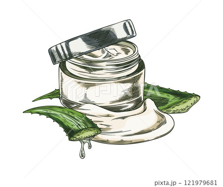 Vector illustration of aloe vera, cut prickly leaves, gel in a jar,, in sketch style 121979681