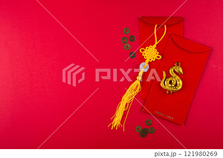Chinese new year concept. Lunar year of snake 121980269