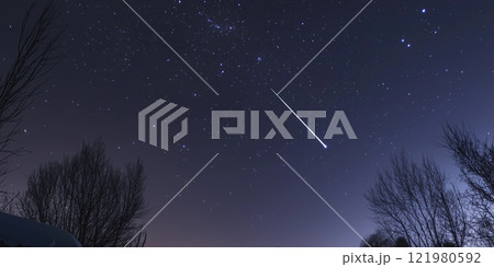 Shooting falling star shining brightly on dark night sky and tree branches around. Night wish dream tradition photo 121980592