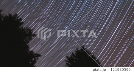 Time-lapse shot of night sky with star circles orbits shining lines. Dark night sky and tree branches around. Night wish dream photo 121980596