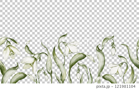 Watercolor Snowdrop and Floral seamless Border in white and green tones. Illustration spring blooming flowers and leaves for wedding invitations, botanical greeting cards. Background seasonal decor. 121981104