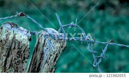 poles with barbed wire poles with barbed wire 121982055