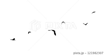 Flying birds silhouette flock. hand drawing. Not AI. Vector illustration 121982307