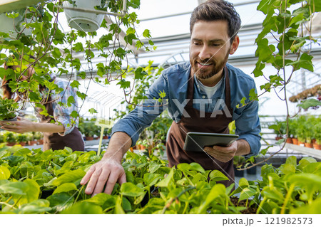 Male bearded greenhouse worker looking involved and busy 121982573