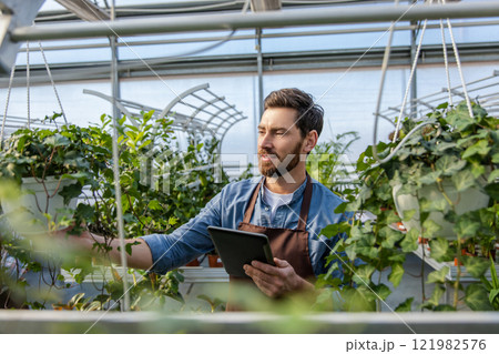 Male bearded greenhouse worker looking involved and busy Male bearded greenhouse worker looking involved and busy 121982576