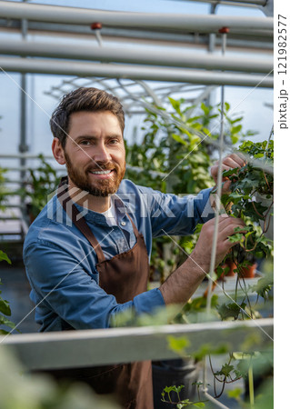Male bearded greenhouse worker looking involved and busy 121982577