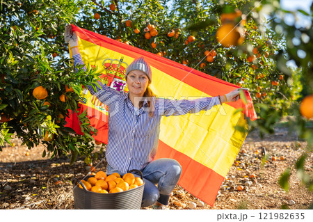 Cheerful middle-aged woman farmer holding flag of Spain while sitting in front of tangerine tree during harvest in garden Cheerful middle-aged woman farmer holding flag of Spain while sitting in front of tangerine tree during harvest in garden 121982635