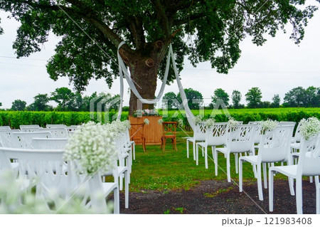 White Chiavari Chairs Set Up For A Wedding Ceremony In A Vineyard White Chiavari Chairs Set Up For A Wedding Ceremony In A Vineyard 121983408