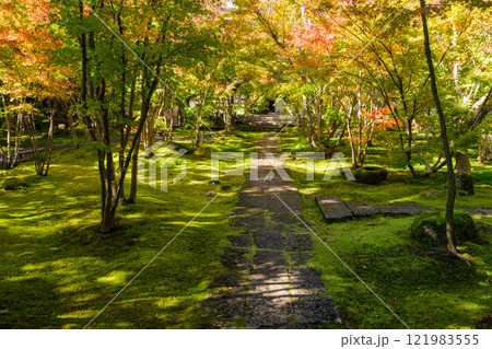 庭園の紅葉 庭園の紅葉 121983555