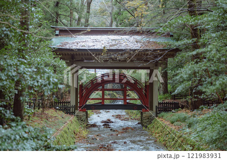 新潟　弥彦神社の玉の橋 121983931