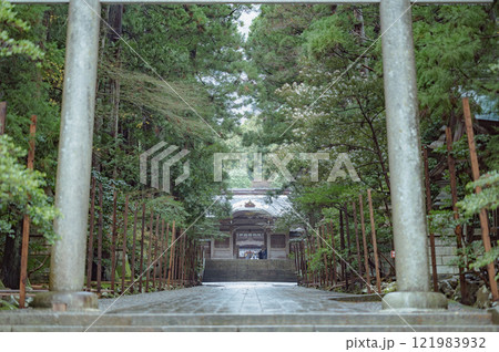 新潟　弥彦神社 121983932