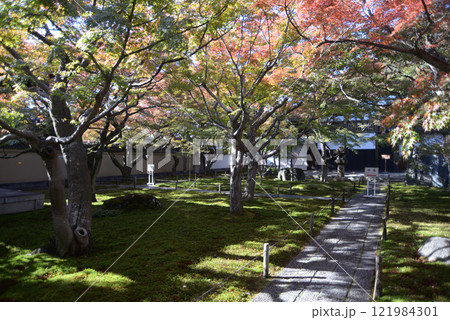 大徳寺 黄梅院の境内 京都市北区紫野 大徳寺 黄梅院の境内 京都市北区紫野 121984301