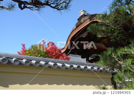 大徳寺 興臨院 京都市北区紫野 大徳寺 興臨院 京都市北区紫野 121984303