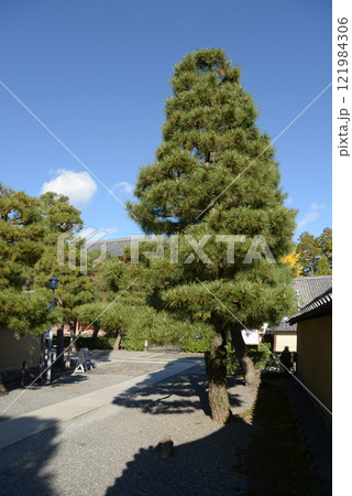 大徳寺　参道　京都市北区紫野 121984306