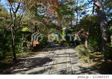 大徳寺 正受院の境内 京都市北区紫野 大徳寺 正受院の境内 京都市北区紫野 121984337