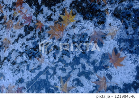 氷と紅葉模様 氷と紅葉模様 121984346