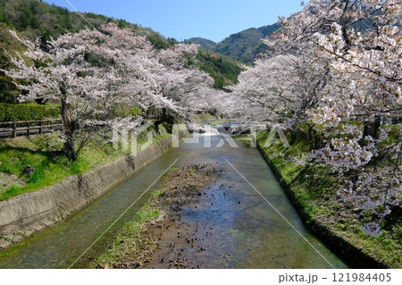 春の七谷川の上流風景 121984405