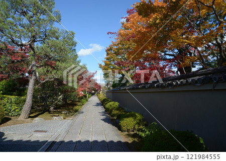 大徳寺　芳春院参道　京都市北区紫野 121984555