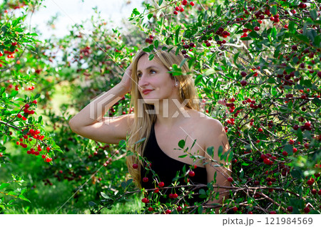 Blond lady is between branches with ripe sour cherries. 121984569