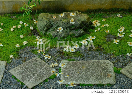 沙羅双樹の落花 121985048