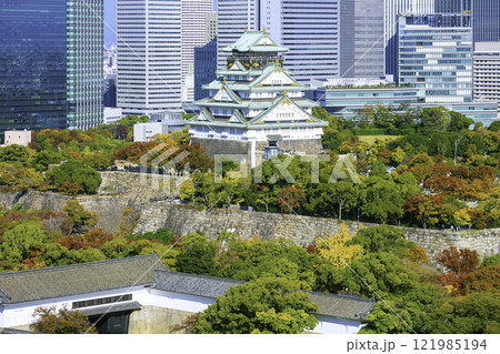 大阪城天守閣と立ち並ぶ高層ビル群（大阪府大阪市） 121985194