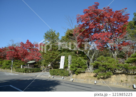 大覚寺　境内入口の紅葉　京都市右京区嵯峨 121985225