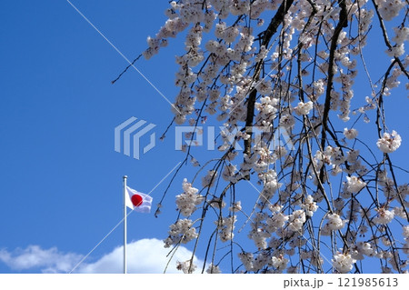 日本国旗と桜花 日本国旗と桜花 121985613