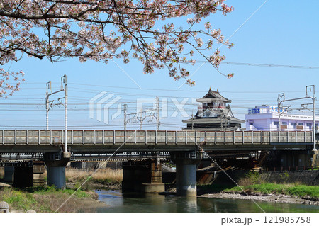 満開の桜と清洲城 満開の桜と清洲城 121985758