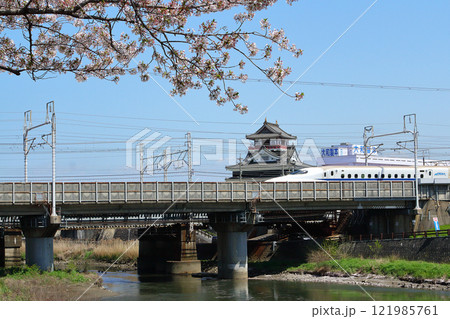 満開の桜と清洲城 121985761