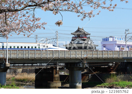 満開の桜と清洲城 121985762