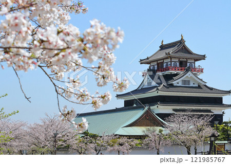 満開の桜と清洲城 満開の桜と清洲城 121985767