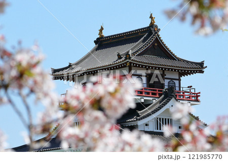満開の桜と清洲城 121985770