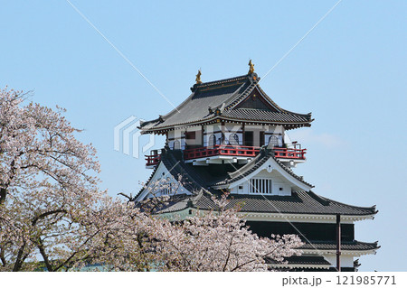 満開の桜と清洲城 121985771